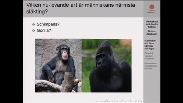 Programbild