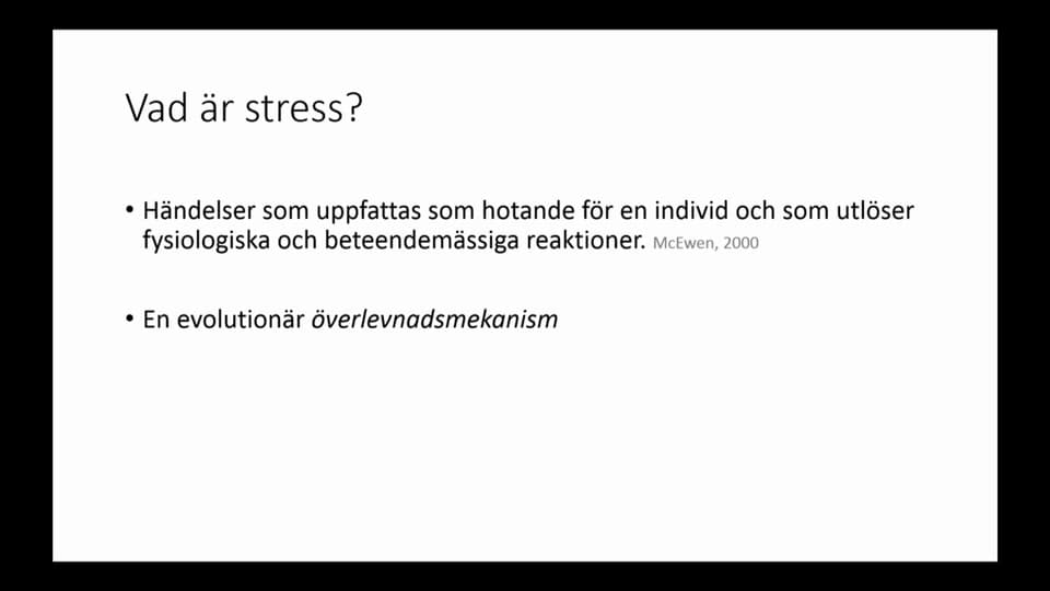 Programbild