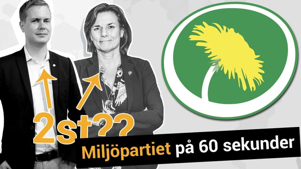 Lilla Aktuellt Teckenspråk Valet Miljöpartiet Ur Play 