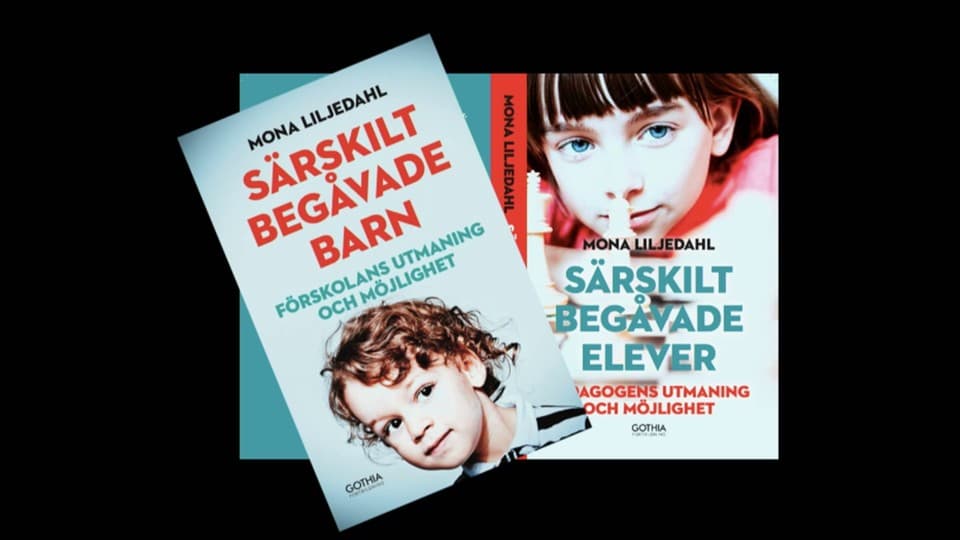 Programbild