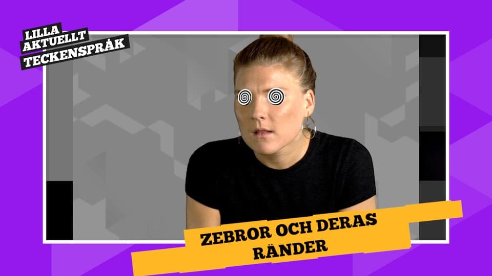 Programbild