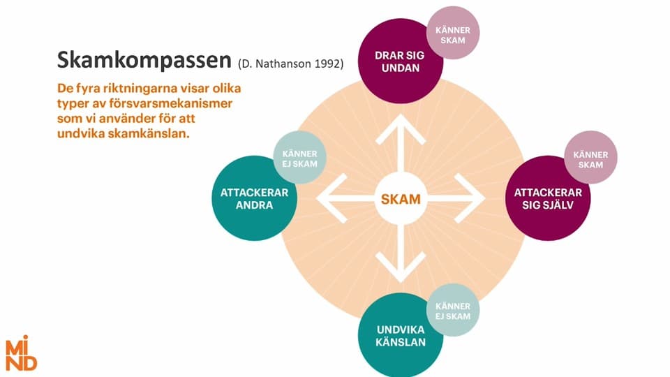 Programbild