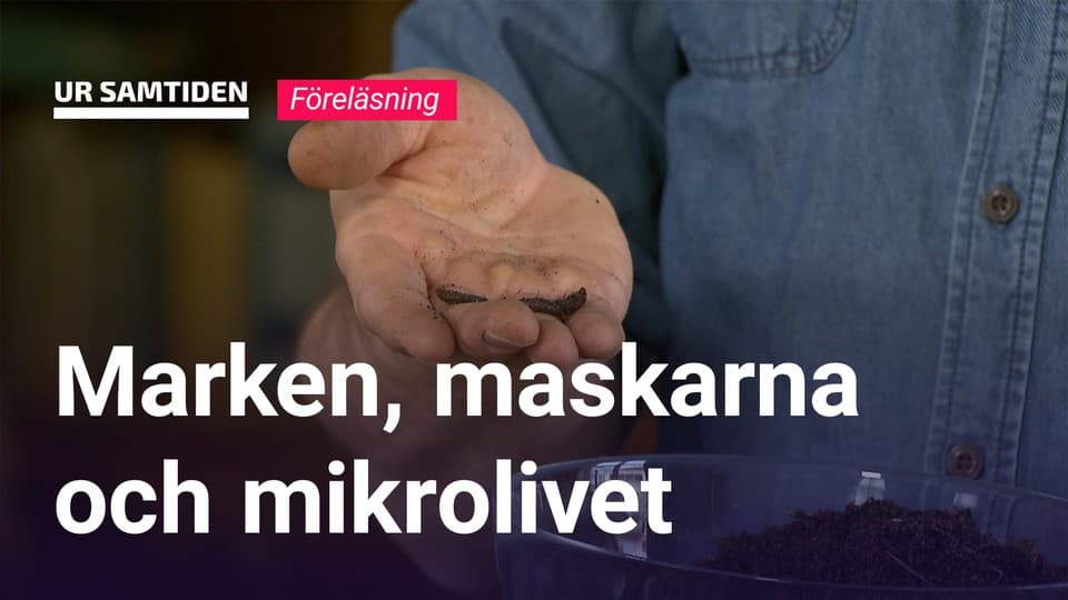 Programbild