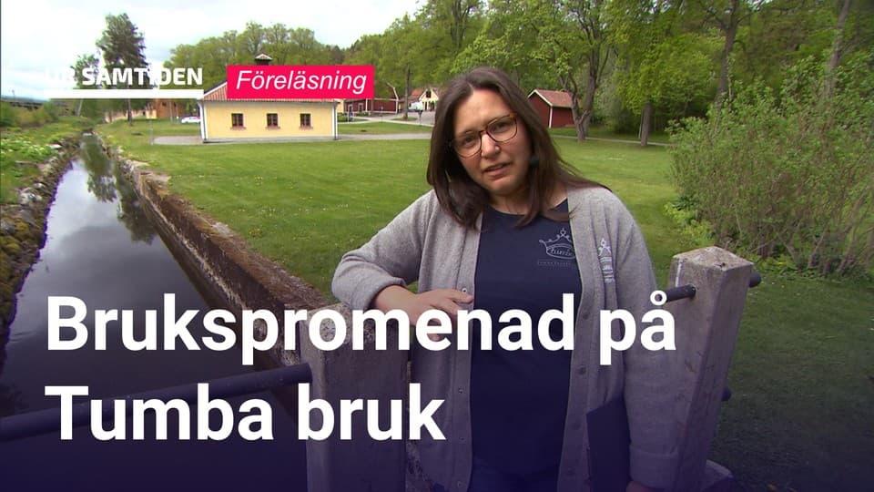 Programbild