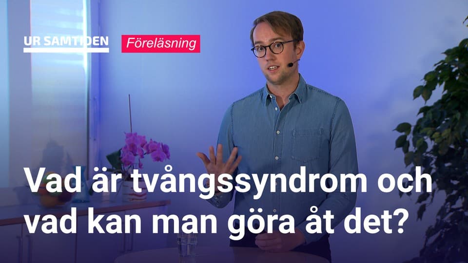 Programbild