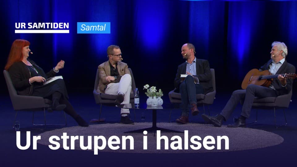 Programbild
