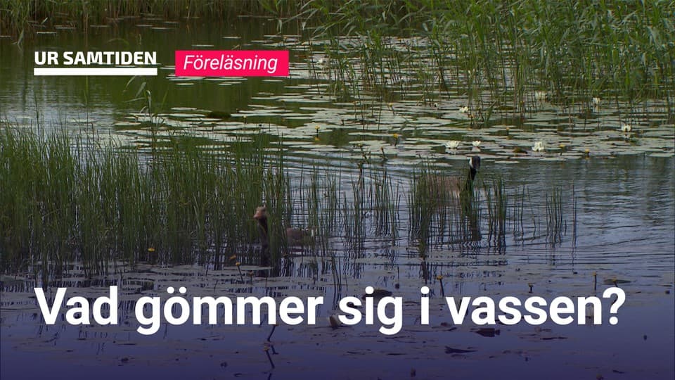 Programbild