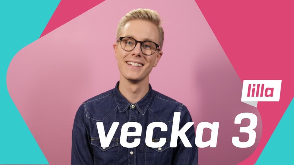Programbild
