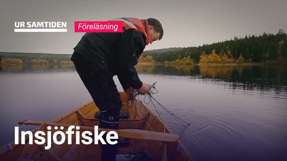 Programbild