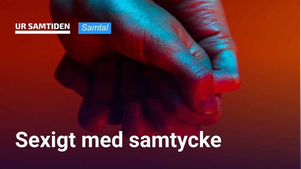 Programbild