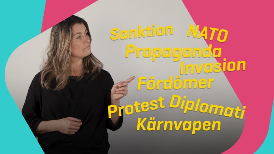 Programbild