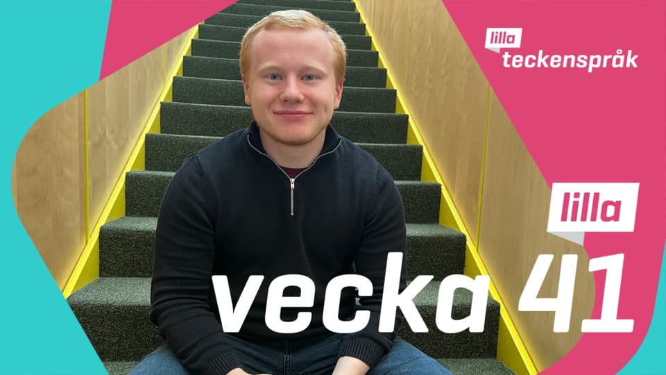 Programbild