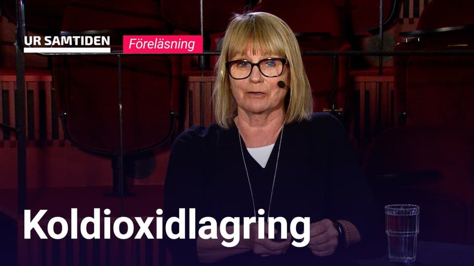 Programbild