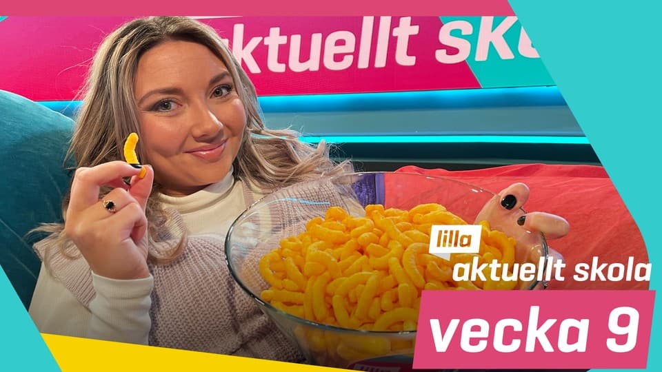 Programbild
