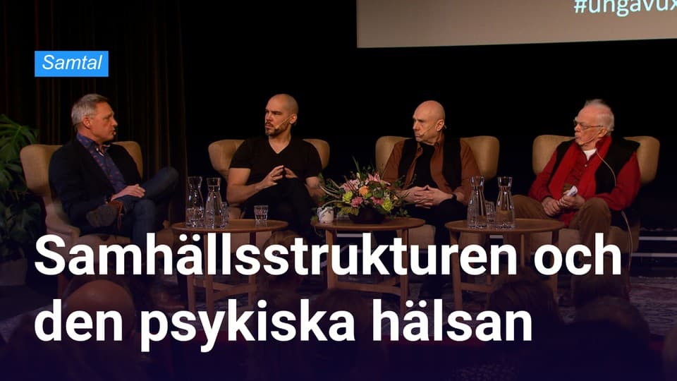 Programbild