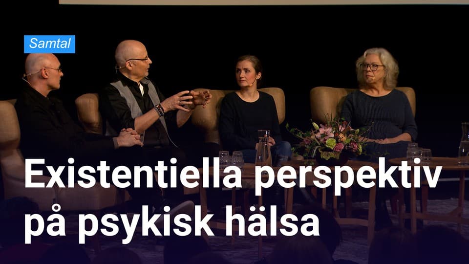 Programbild