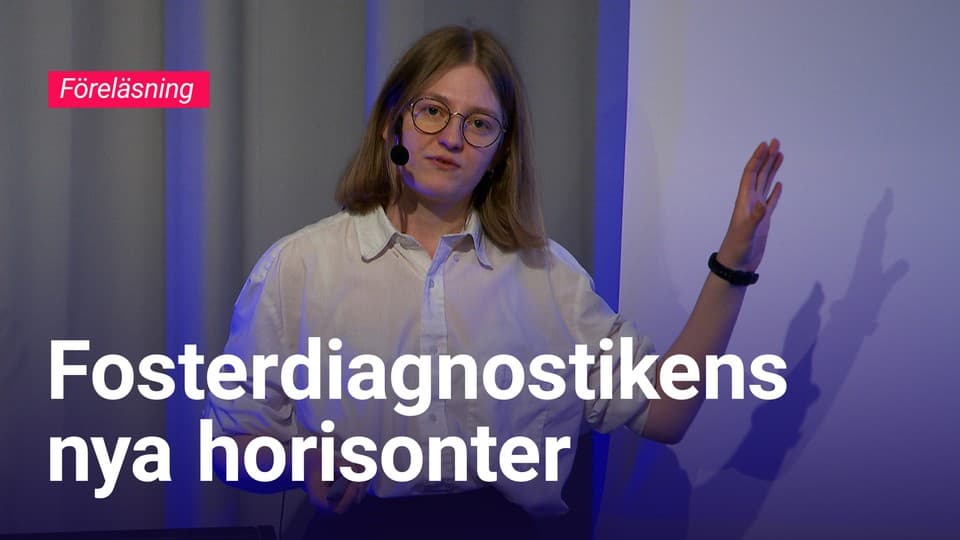 Programbild