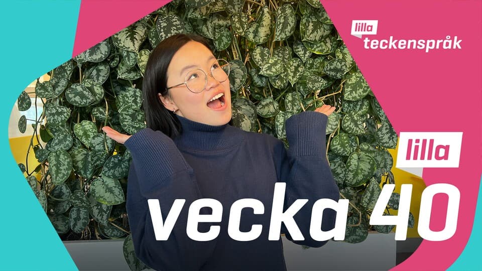 Programbild