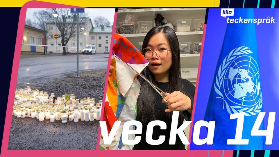 Programbild