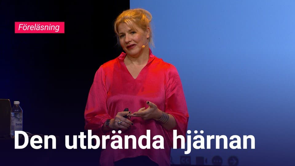 Programbild
