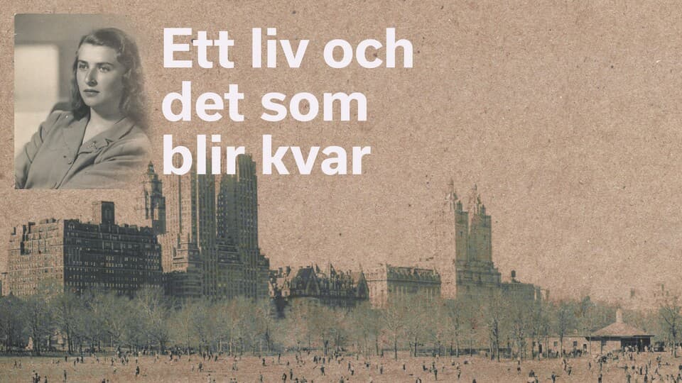 Programbild