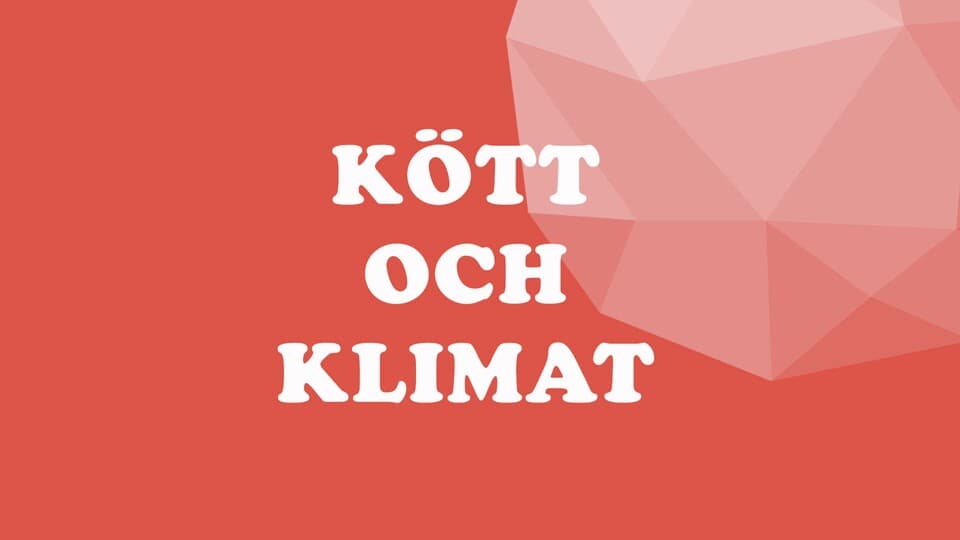 Programbild