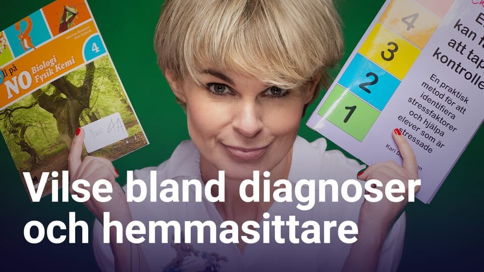 Programbild