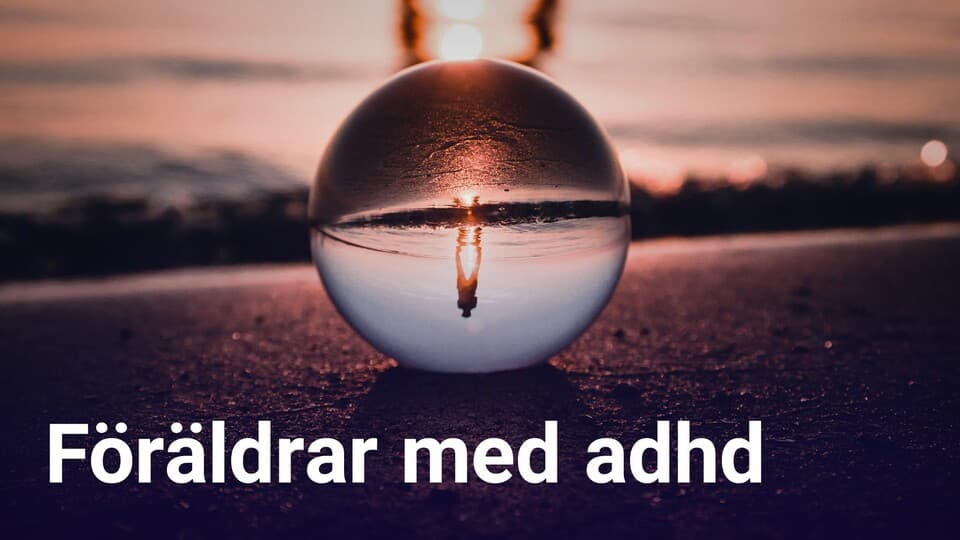 Programbild