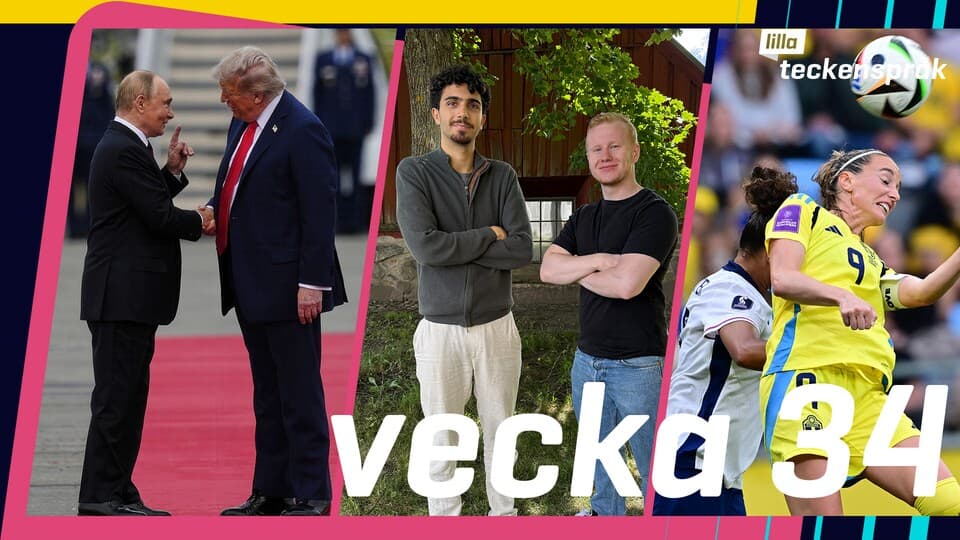 Programbild