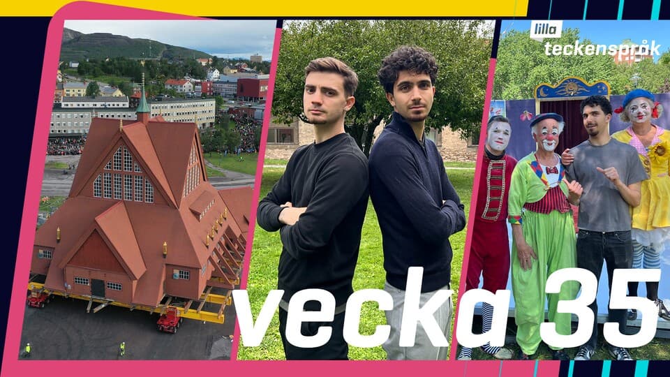 Programbild