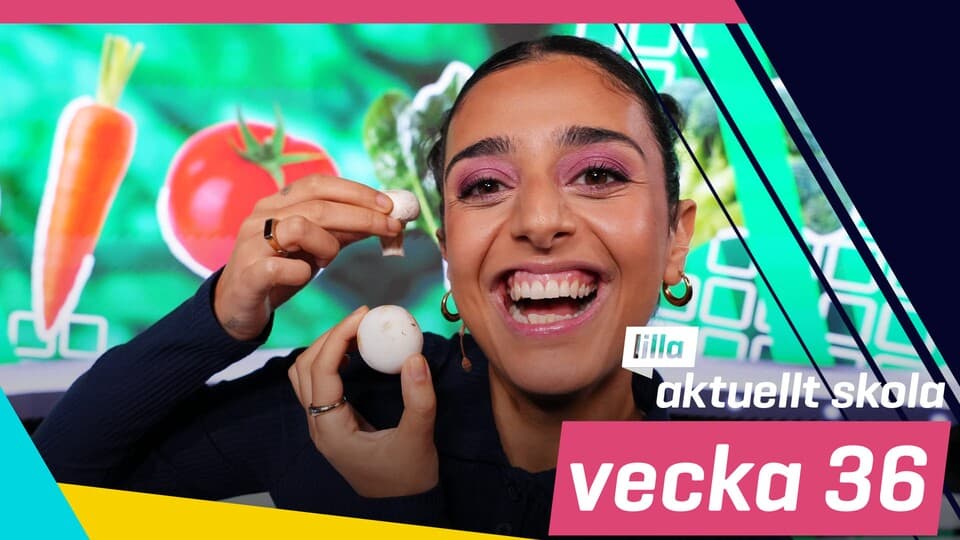 Programbild