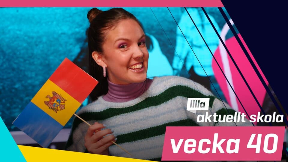 Programbild