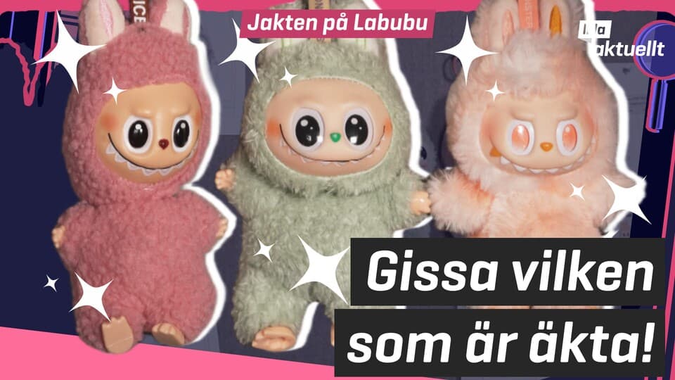 Programbild