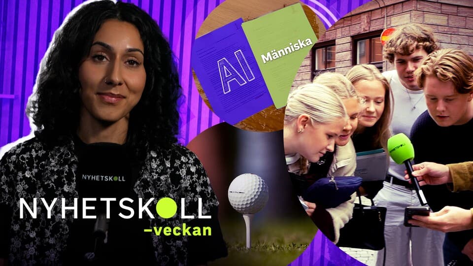 Programbild