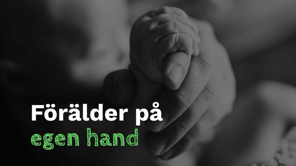 Programbild
