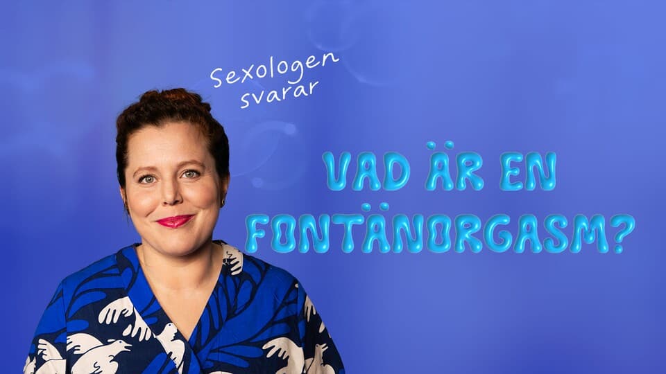 Programbild