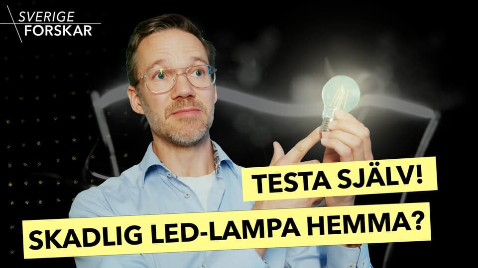 Programbild
