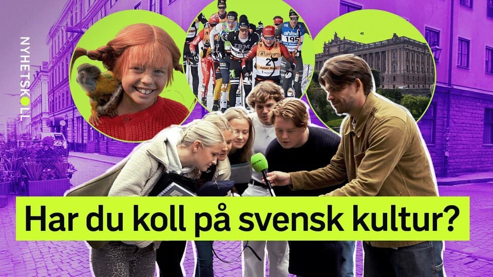 Programbild