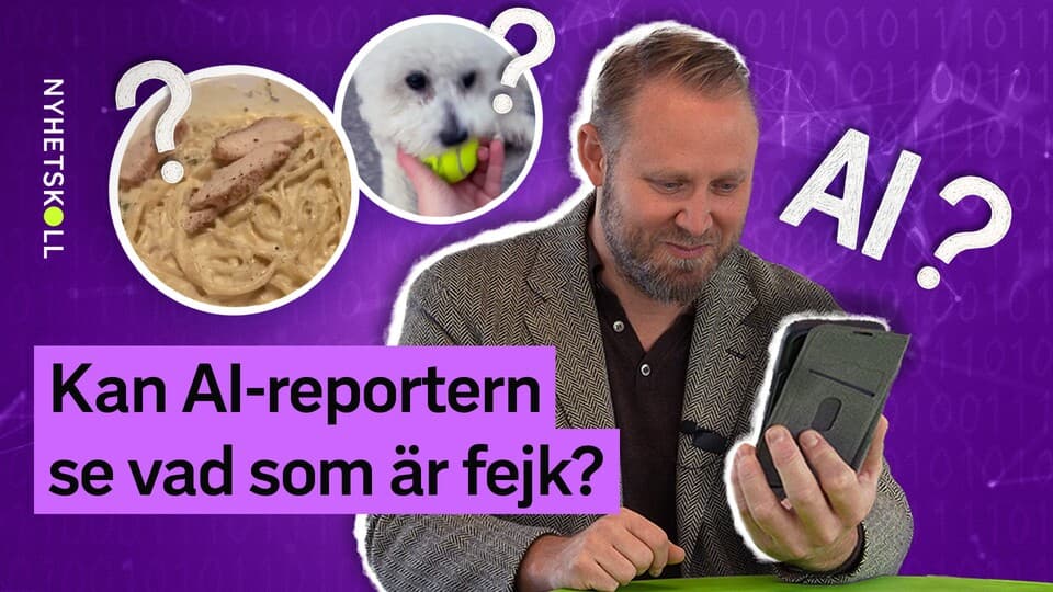 Programbild