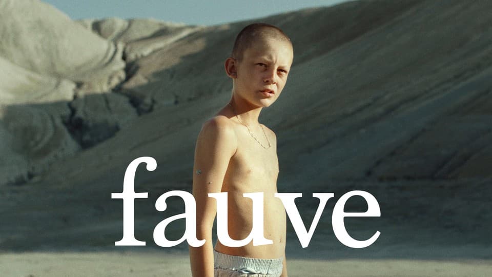 Programbild