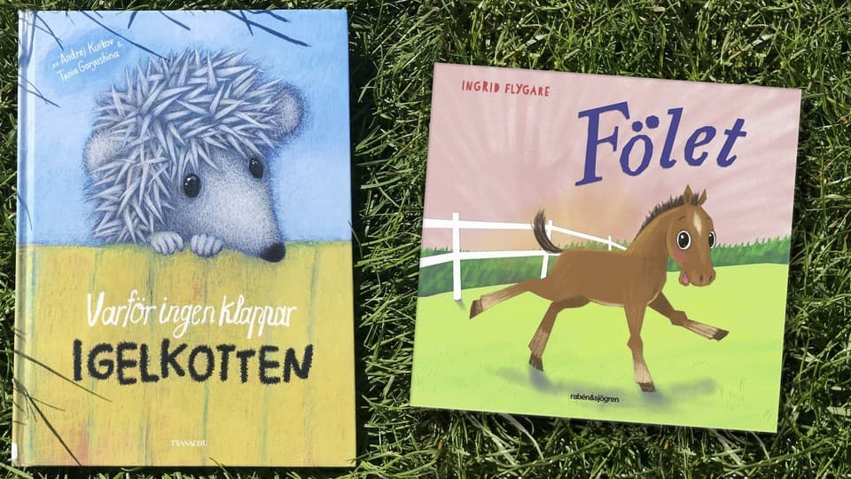 Programbild