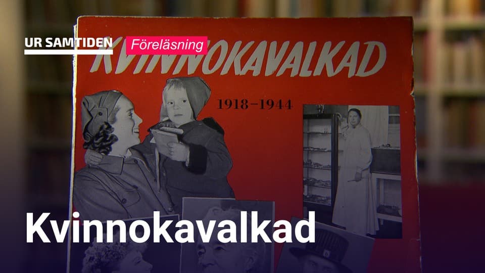 Programbild