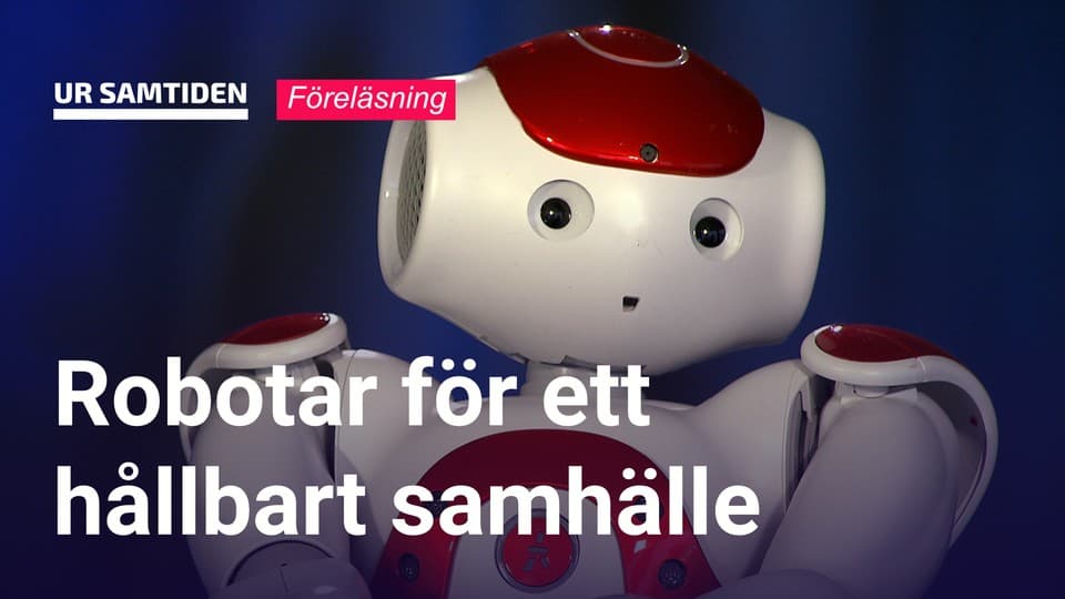 Programbild