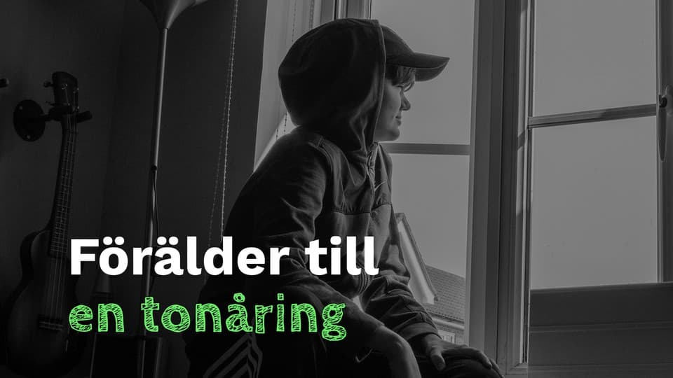 Programbild