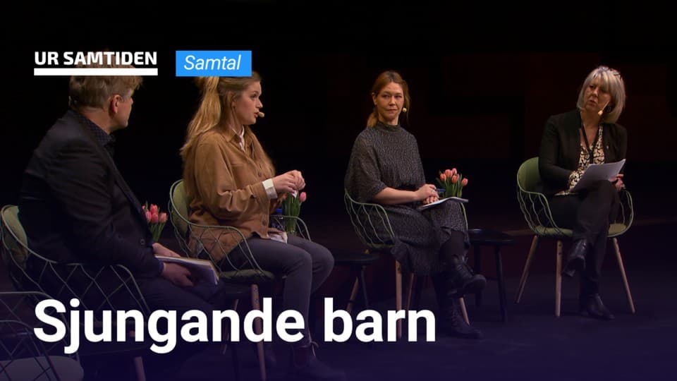 Programbild