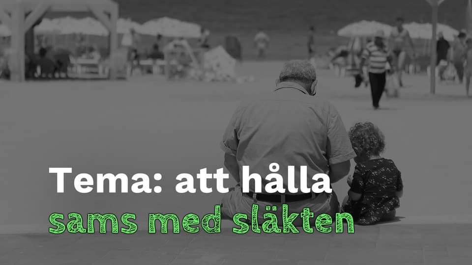 Programbild