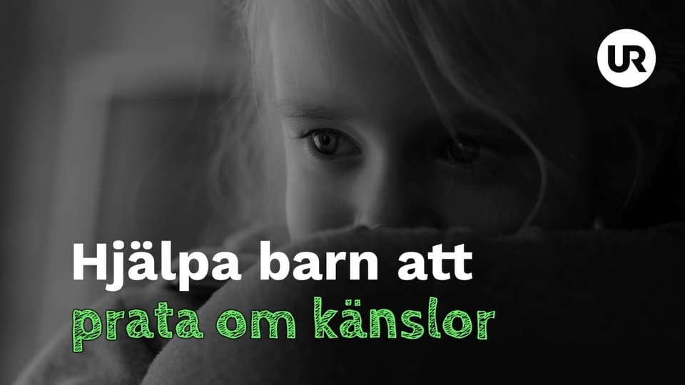 Programbild
