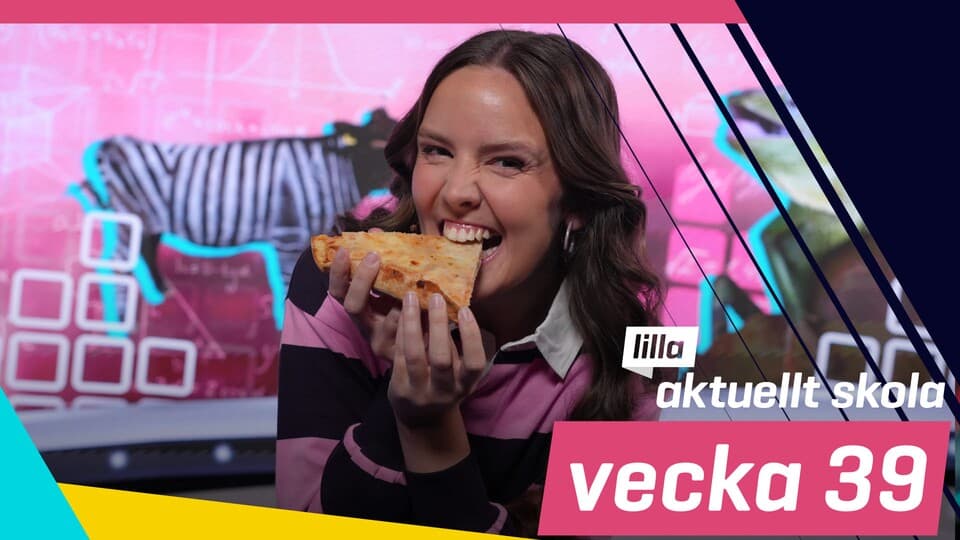 Programbild