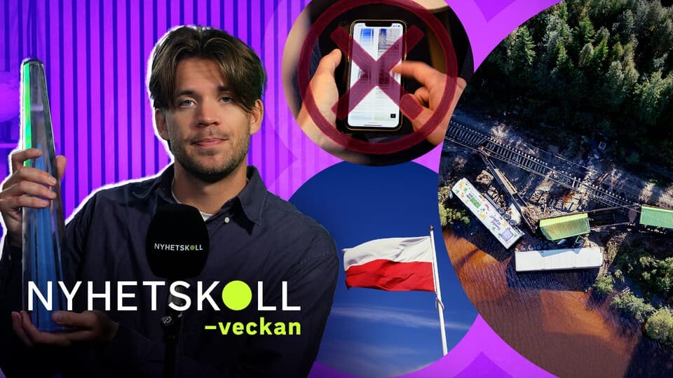 Programbild