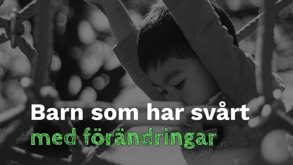 Programbild